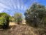 prestigious house 6 Rooms for sale on LE BOIS PLAGE EN RE (17580)