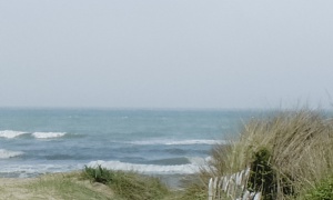 Region</br>Ile de Ré